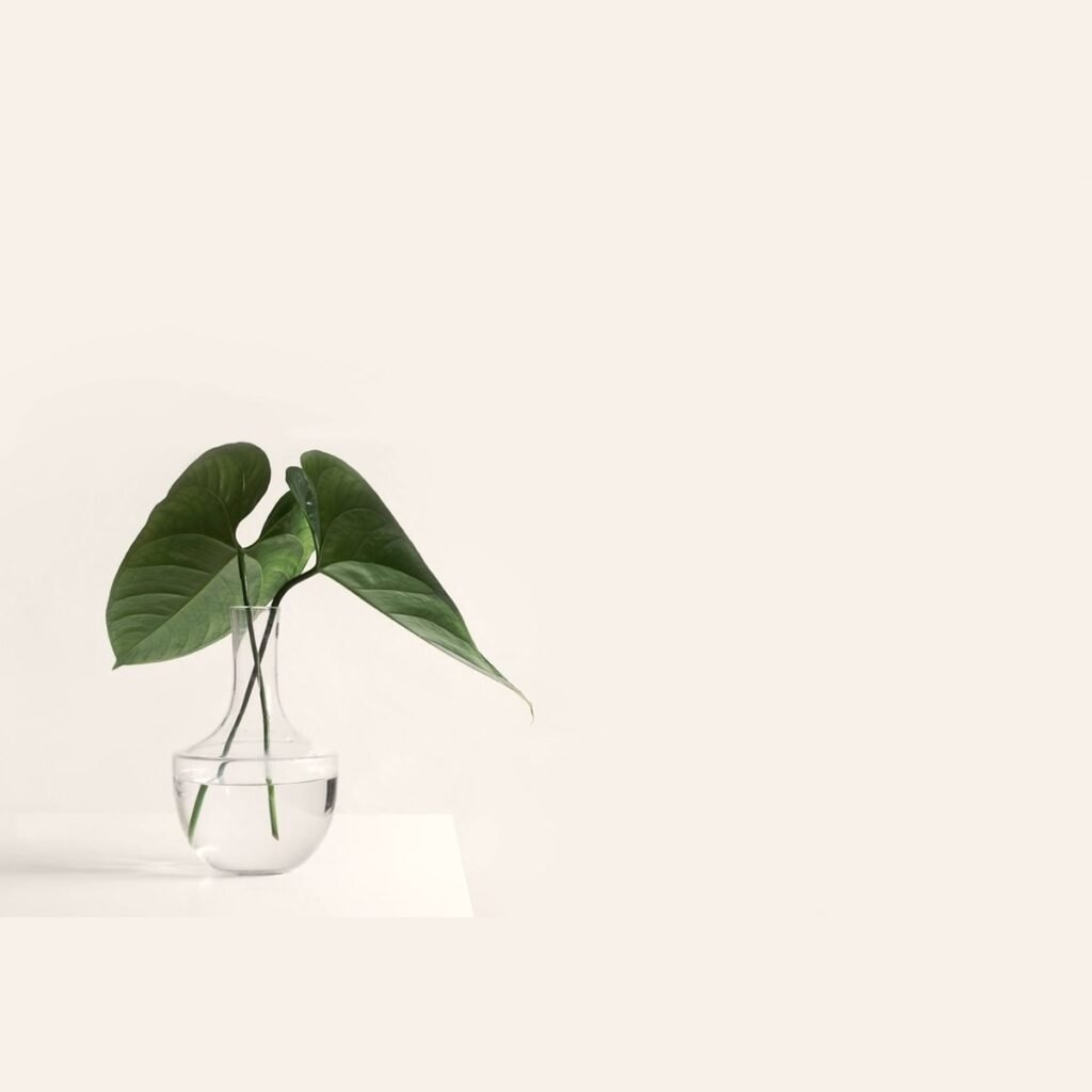 Glass Bud Vase
