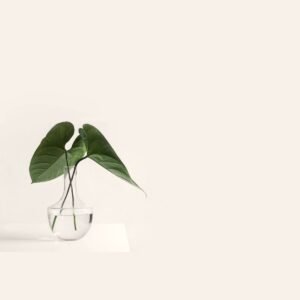 Glass Bud Vase